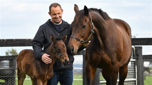 ‘You had better come and say goodbye’: Winx’s near-death experience