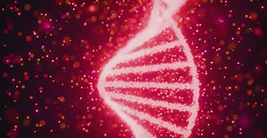 Video by Nicola Narracci on Pexels