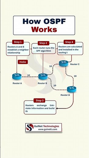 How OSPF Works in Networking | CCNA & CCNP Must-Know Routing Protocol Explained