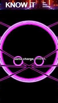 Can Two Identical Objects Exist?