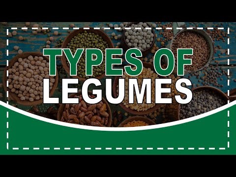 TYPES OF LEGUMES