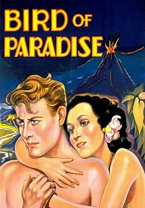 Bird of Paradise streaming: where to watch online?