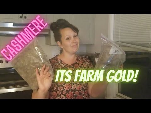 Harvesting Cashmere from goats! [Is Cashmere homesteader's gold?]