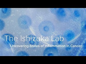 Inflammation, Tumor Microenvironments & Immunotherapy - The Ishizuka Lab at Yale School of Medicine