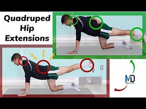 Master Quadruped Hip Extensions: Perfect Form & Avoid Common Mistakes | Full Tutorial