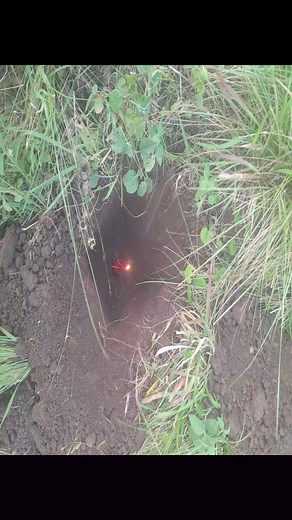 16K views · 86 reactions | Uma ubulala umuntu kobuyela kuwe #southafrican #spirituality #protection #sendit | KwaMaqethuka Silungile | Facebook