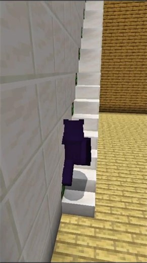Hidden Stairs In Minecraft #shorts