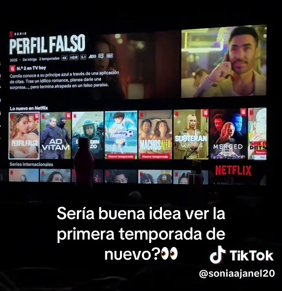 Perfil falso: Resumen de la primera temporada