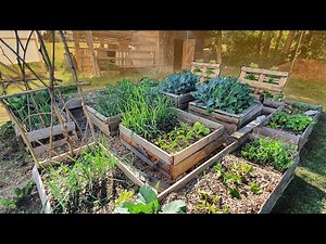 5 Starting Tips | Raised Bed Vegetable Gardening For Beginners