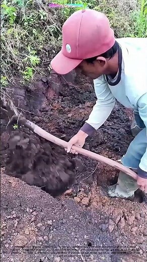 Breaking Ground: How Traditional Farming Shapes the Future of Agriculture