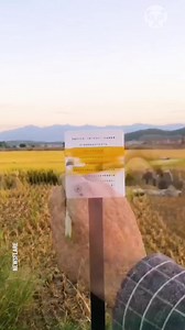 Painter creates awesome optical illusions | Bored Panda Art