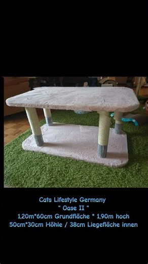 Cats Lifestyle Germany . Massivkratzbaum " Oase II " .
