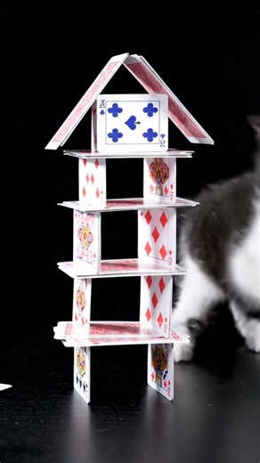 Kitten Destroys House of Cards in Slow Motion! | Satisfying Cute Cat C... #Shorts