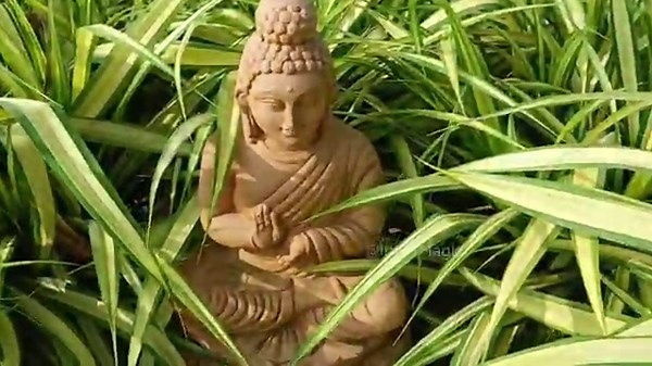 National Institute of Siddha | Tambaram Siddha Hospital | Ayothidoss Pandithar | AYUSH Central Govt