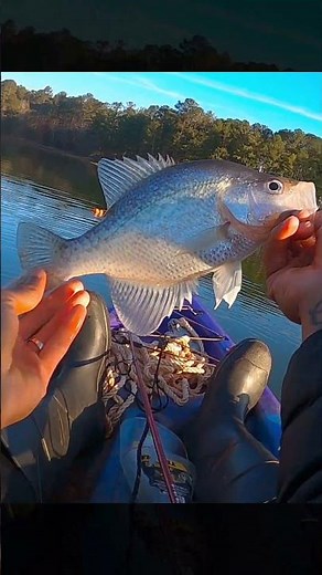 Two Early Prespawn Crappie on Slip Bobber + Bobby Garland (Kayak Fishing)