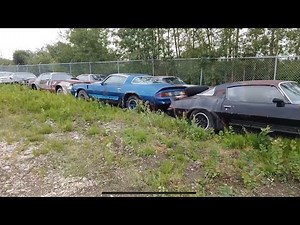 Camaro and firebird field of dreams