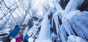 A Winter Trip to Oirase Gorge | Stories | Amazing AOMORI - The Official Aomori Travel Guide