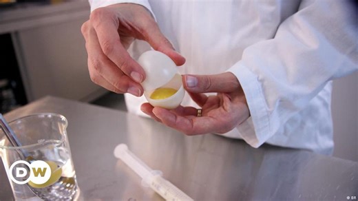 How to make a vegan egg