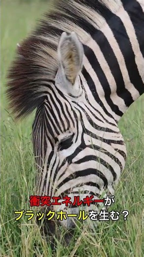 ブラックホールを人工的に作る実験 #shorts