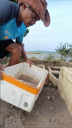 tutorial membuat kompos dari sampah organik😷 #shorst #gardening #fypyoutube