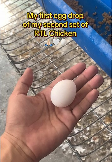 Leoning’s RTL Farm on TikTok