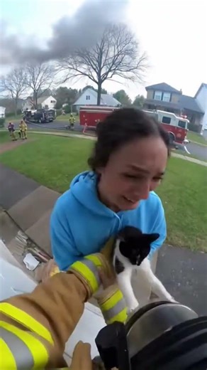 cat gets saved from a burning building