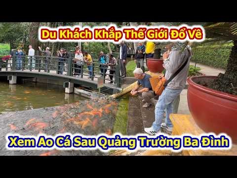 Tourists from all over the world flock to see the fish pond behind Ba Dinh Square.