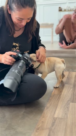 The perfect family photo doesn’t exis— 😶 Nevermind 😍😍😍 Meet SPUD! 🥔 This little potato baby melted our hearts at the studio for his family holiday portraits. And could there even BE a better name for him!? We just cant with this little dude. The PAW’D Photography has a new customer for life! 🐶 🐾 | The Pod Photography