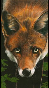 37K views · 4.7K reactions | Hi everyone! For those that don’t know...