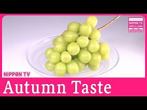 Shine Muscat and new variety now available