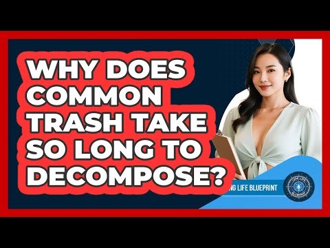 Why Does Common Trash Take So Long To Decompose? - Long Life Blueprint