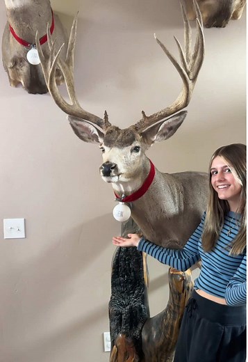 A little Christmas fun!🎄🎄#wyominglife #Christmas #rudolphtherednosereindeer