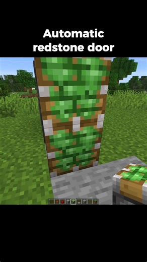 Minecraft Automatic Door 🔥