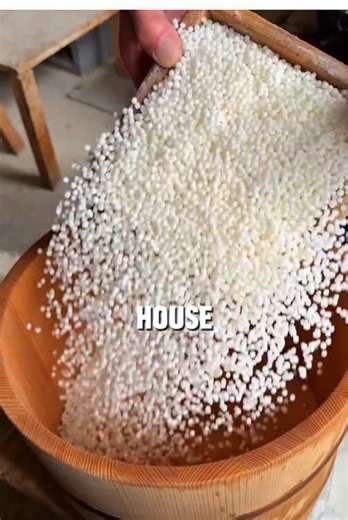 Second Date Update Insights from Brooke and Jubal