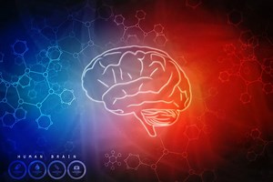 Prueba de inteligencia: un test online de 33 preguntas permite medir tu coeficiente intelectual