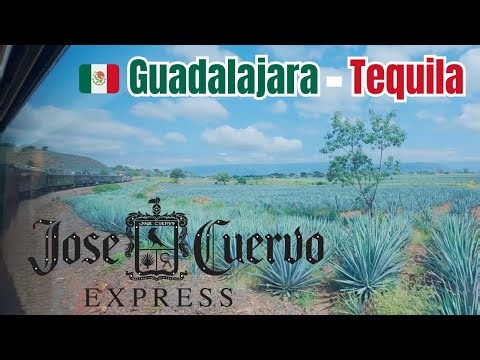🇲🇽 Ride JOSE CUERVO EXPRESS to Tequila