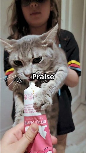 How to Brush Your Cat’s Teeth Without Losing a Finger 😹 #CatTips #PetCare