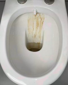 162K views · 273 reactions | Toilet bowl cleaning hack | Genius Inventions | Facebook