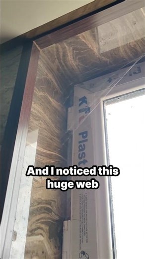 Spider Put Some Dirt in My Bathroom