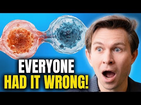 This Powder Drops Inflammation, Shrinks Fat and Builds Serious Muscle | Dr. David Sinclair