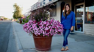Here's an update on a couple big container projects I planted up a couple months ago! 💜🌿👍 | Garden Answer