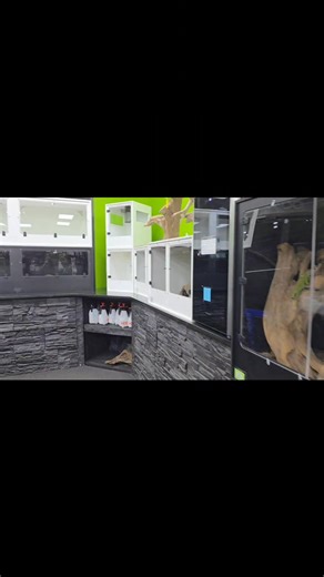 The shop is overflowing with beautiful @blackboxcages! We heard you and they delivered! Maybe it's the perfect time for an upgrade for your pet! You can now pick up your own BlackBox Enclosures right here and have all your questions answered about them by our well trained staff. Not only do we use them for our animals, but it's one of my favorite to recommend to customers as well. Feel free to message us for more information, or swing on by and check them out yourself. Delivery IS available for