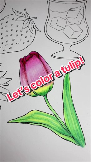 Easy way to color a tulip with alcohol markers and colored pencils. #tulipcoloring #tulip #colorist #ilovetocolor #coloring #addictedtocoloring #coloringtherapy #coloringtutorial #colorwithme #colorwithmarkers #easycoloringtutorial #easycoloring #coloringpage #coloringpagesforeveryone #adultcoloring #letscolortogether #coloringforadults #coloringforgrownups