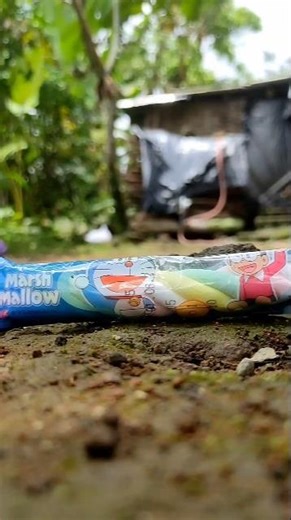 look!!! there's a millipede imitating a rainbow#shorts #youtubeshorts #videoshort #millipede