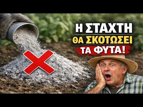 ΤΟ ΜΕΓΑΛΥΤΕΡΟ ΛΑΘΟΣ με τη στάχτη! Αυτά τα φυτά δεν θα τα λιπάνει... απλά θα τα ΣΚΟΤΩΣΕΙ.