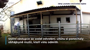 6.3K views · 33 reactions | Za týrání zvířat na jatkách v Hraběticích na Znojemsku ve čtvrtek soud potrestal tři muže. Na případ upozornili před dvěma lety aktivisté zveřejněnými záběry. Zaměstnanci jatek na nich do zvířat kopali, bili je tyčí a dávali jim elektrošoky. | Události Brno | Facebook