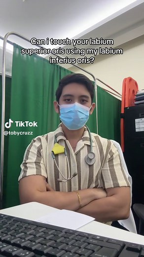 Exploring Labium Superior Oris Anatomy