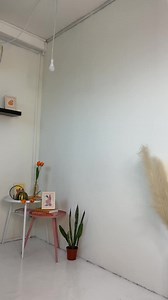 Try Ons Of #tracyeinnyreal  Quirky Series Launches : Friday 5th November 10am We come in all shape and sizes. There is only one of you on this planet, so love you and be who you truly are. ❤️ Gotta flaunt those curves and any style you choose to put on your body!  | Tracyeinny | Facebook