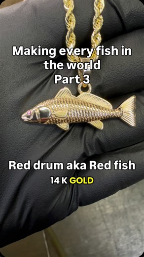 Jrip And Co. on Instagram: "Ep. 3. Red drum aka redfish 🐟 What’s next?!? #redfish #reddrum #fishing #fish #fishlife #fishaddict"