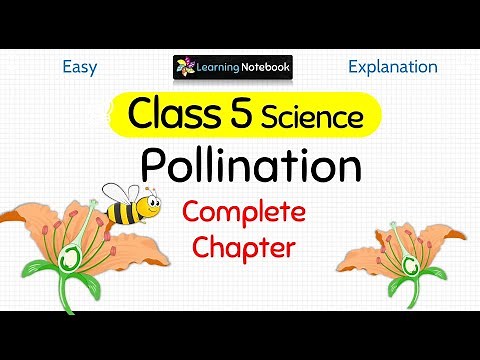Pollination (Complete Chapter)